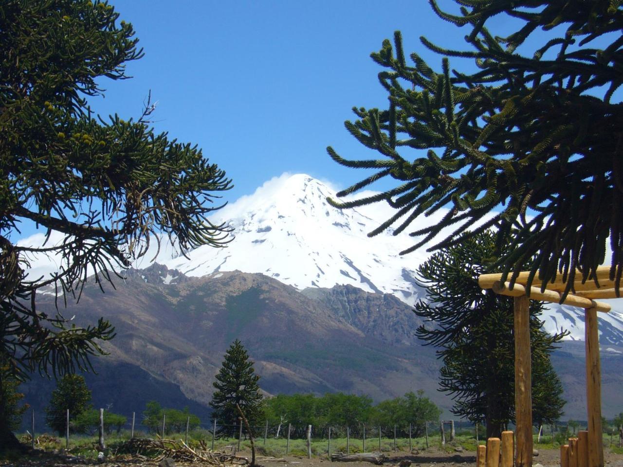 Cabanas Boca Del Chimehuin Junín de los Andes Esterno foto