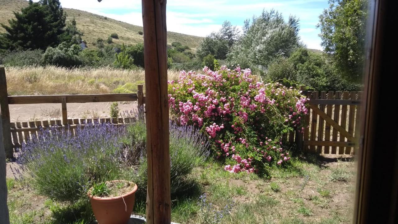 Cabanas Boca Del Chimehuin Junín de los Andes Esterno foto